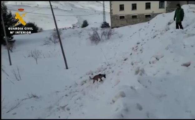 La Guardia Civil localizó este miércoles, bajo la nieve, el cadáver del joven valenciano que desapareció el domingo de madrugada en un bar de copas de Formigal (Huesca).