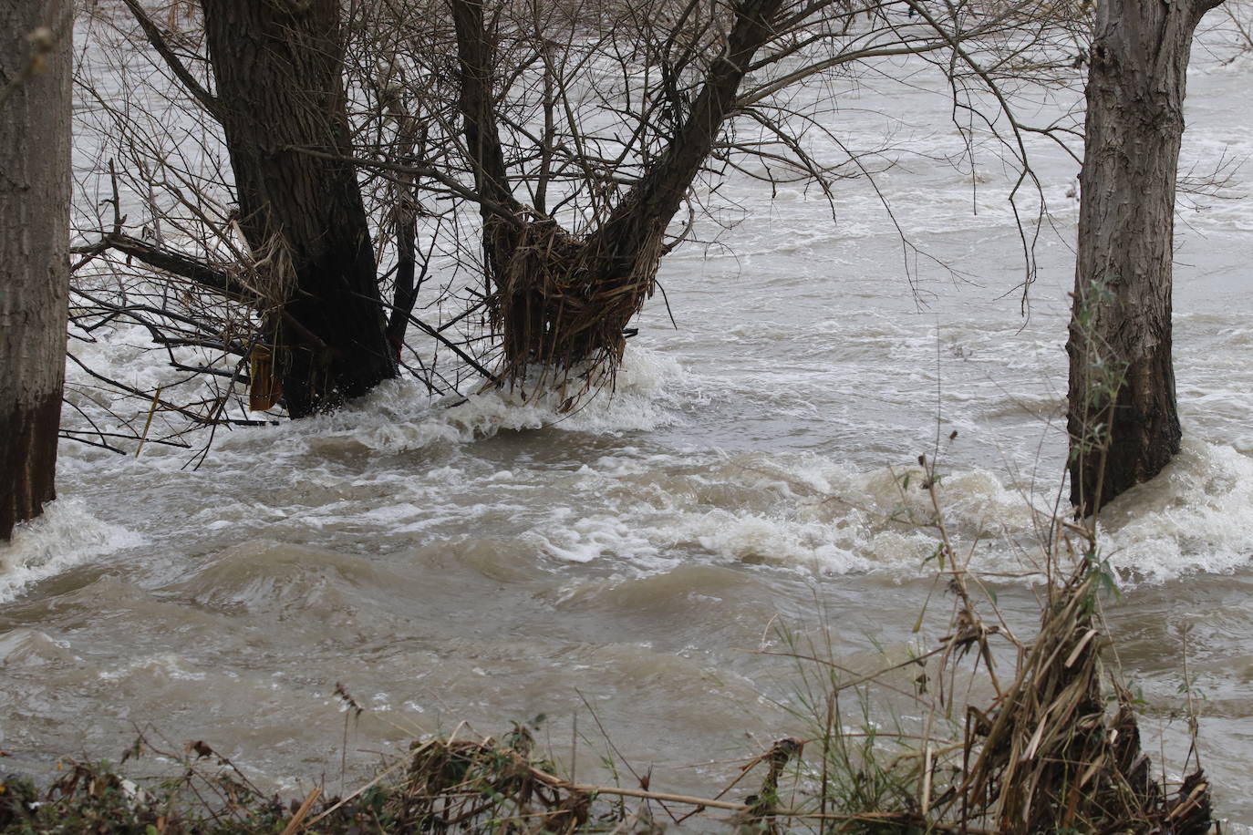 Fotos: Alto caudal en el Nalón, el Trubia y el Nora