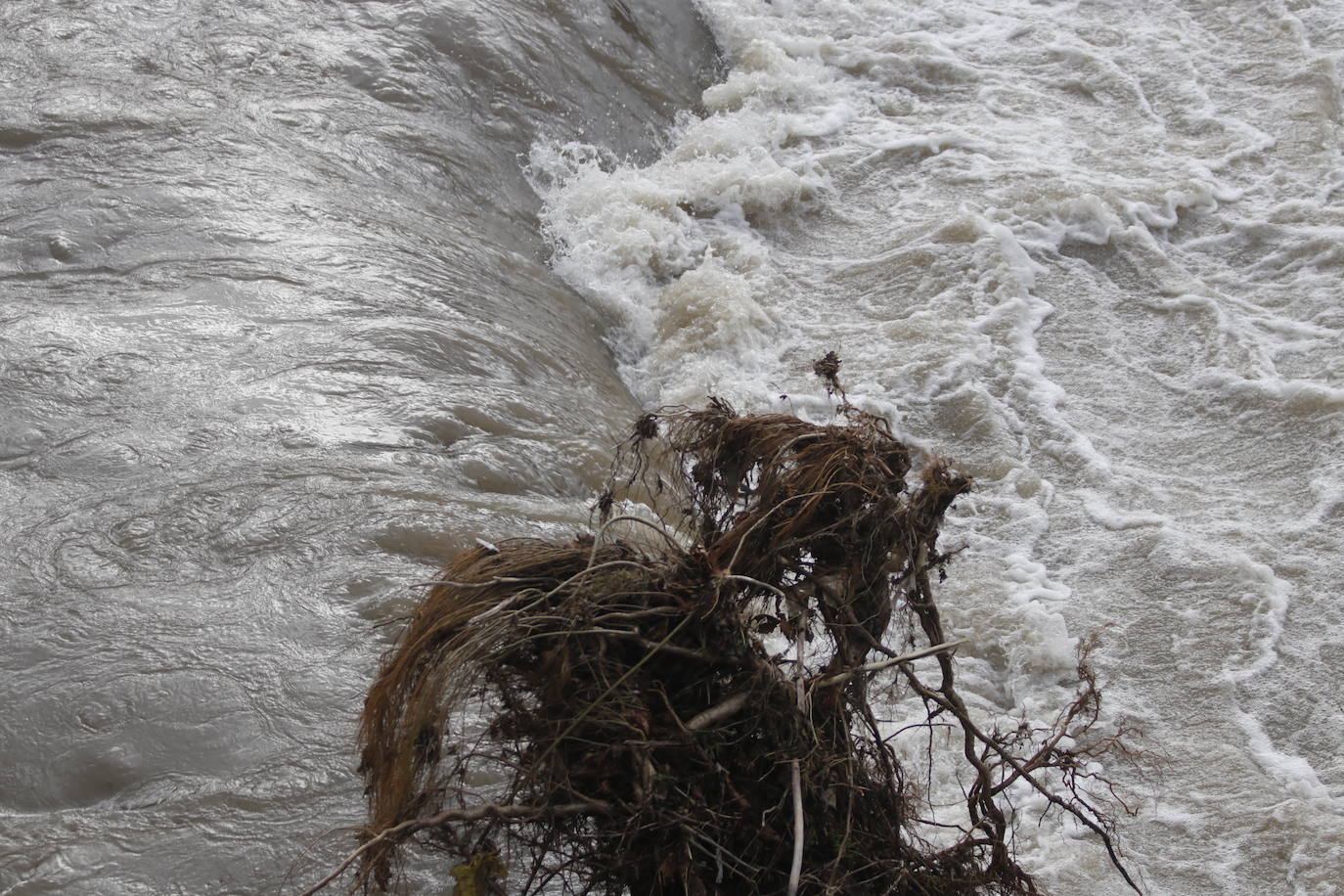 Fotos: Alto caudal en el Nalón, el Trubia y el Nora