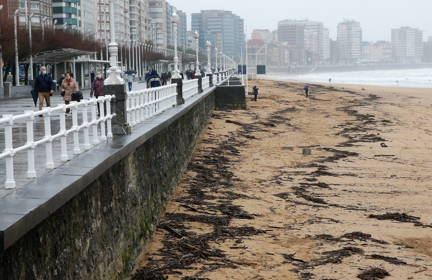 La marea ha llenado la playa gijonesa de San Lorenzo de palos 