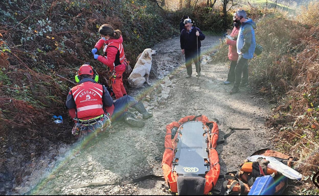 Bomberos, en las labores de rescate 