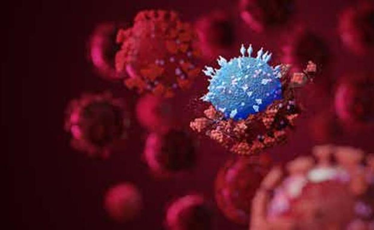 La OMS advierte de que la variante Ómicron se extiende a un ritmo sin precedentes