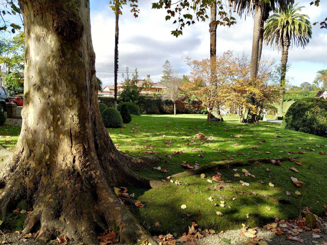 La configuración del jardín se establece a partir de unos enormes e irregulares parterres, impuestos por una red caminera sinuosa de grijo para favorecer el drenaje. Desde la imponente puerta principal se accede a través de un pasillo orlado por bojes donde nos saludan sus dos míticos leones blancos que fueron traídos de un palacio de Cáceres y a sus pies se disponen sendos parterres circulares que se hermosean con flores de temporada.