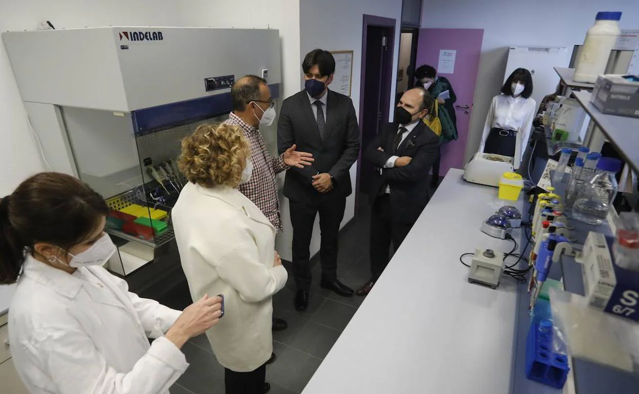 Un momento de la visita del consejero de Ciencia, Innovación y Universidad, Borja Sánchez, en el acto de inauguración del nuevo instituto mixto del campus de Mieres.