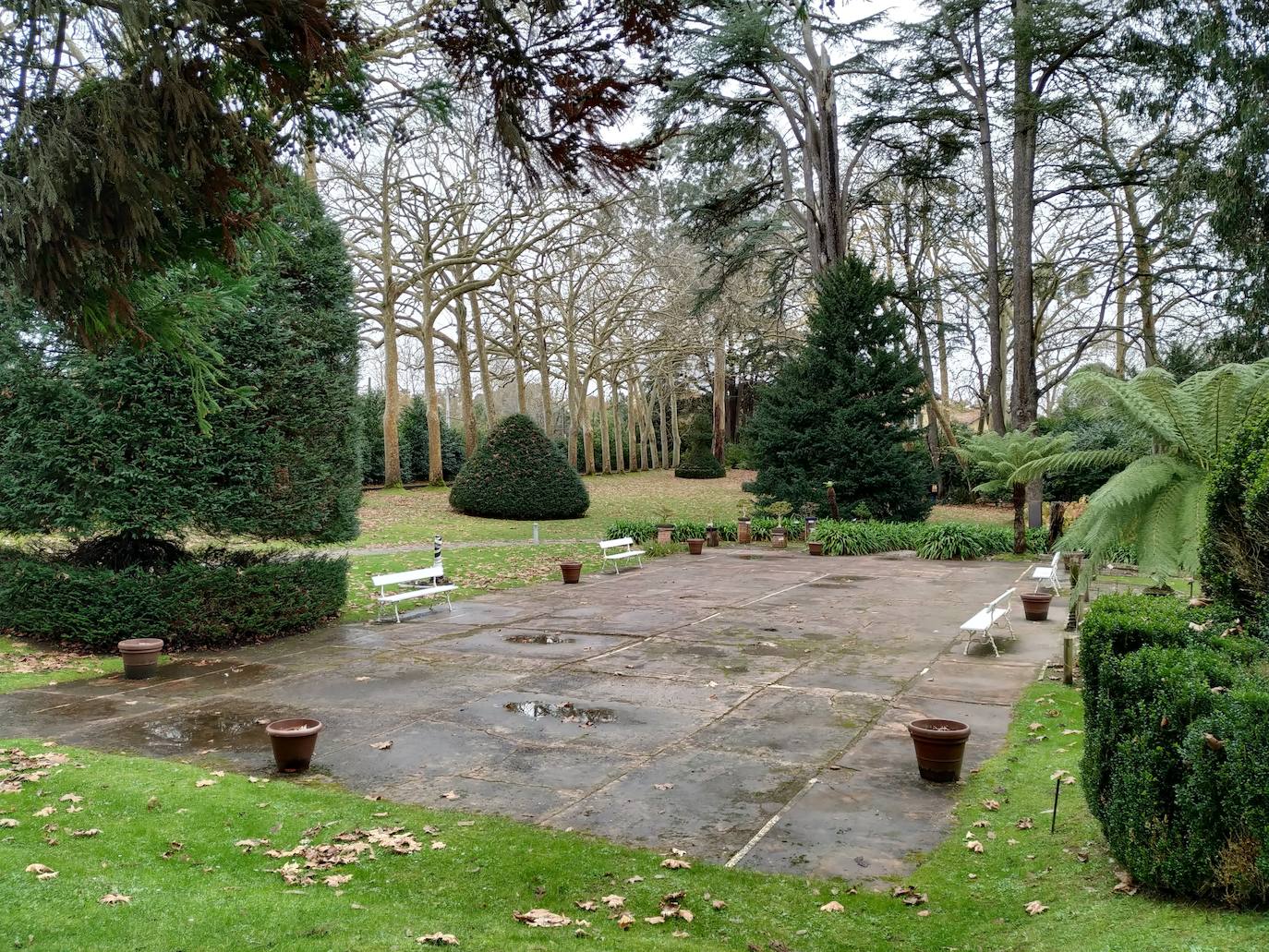 La primera pista de tenis documentada en la historia de Asturias, rodeada de topiaria de boj, cedros, magnolias, bonsáis y helechos arborescentes 