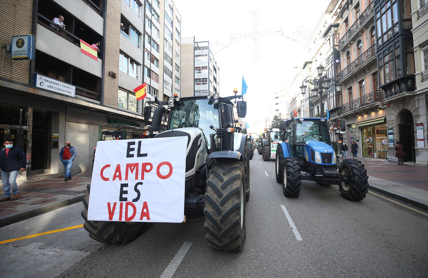 Una nueva tractorada volvió a paralizar el centro de la capital asturiana. Los ganaderos critican el «abandono» por parte de las administraciones públicas. Cientos de personas se concentraron ante la sede de Presidencia, donde se vivieron momentos de tensión. 