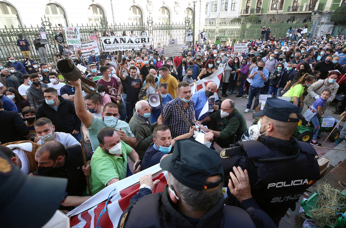 Una nueva tractorada volvió a paralizar el centro de la capital asturiana. Los ganaderos critican el «abandono» por parte de las administraciones públicas. Cientos de personas se concentraron ante la sede de Presidencia, donde se vivieron momentos de tensión. 