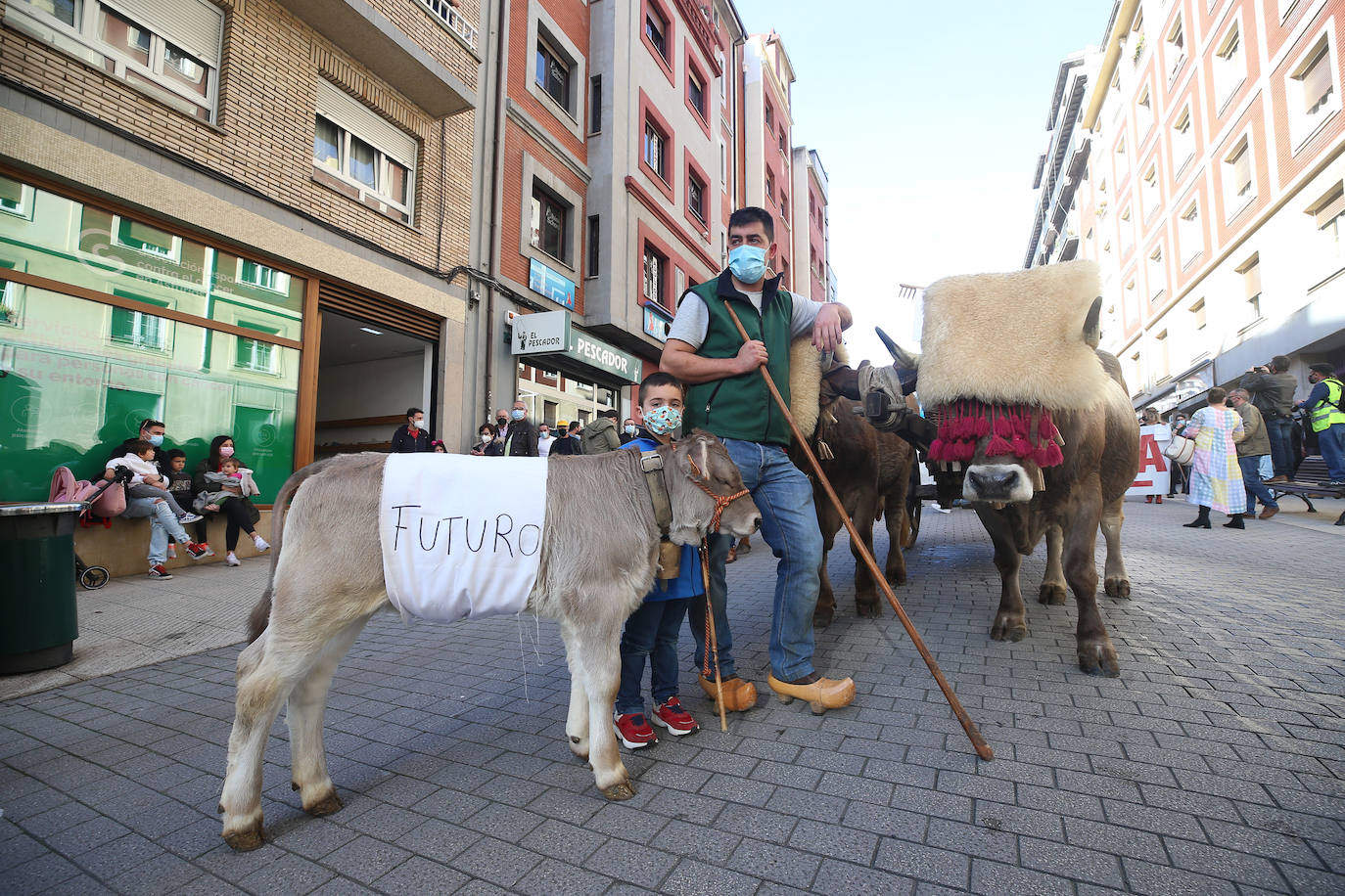 Una nueva tractorada volvió a paralizar el centro de la capital asturiana. Los ganaderos critican el «abandono» por parte de las administraciones públicas. Cientos de personas se concentraron ante la sede de Presidencia, donde se vivieron momentos de tensión. 