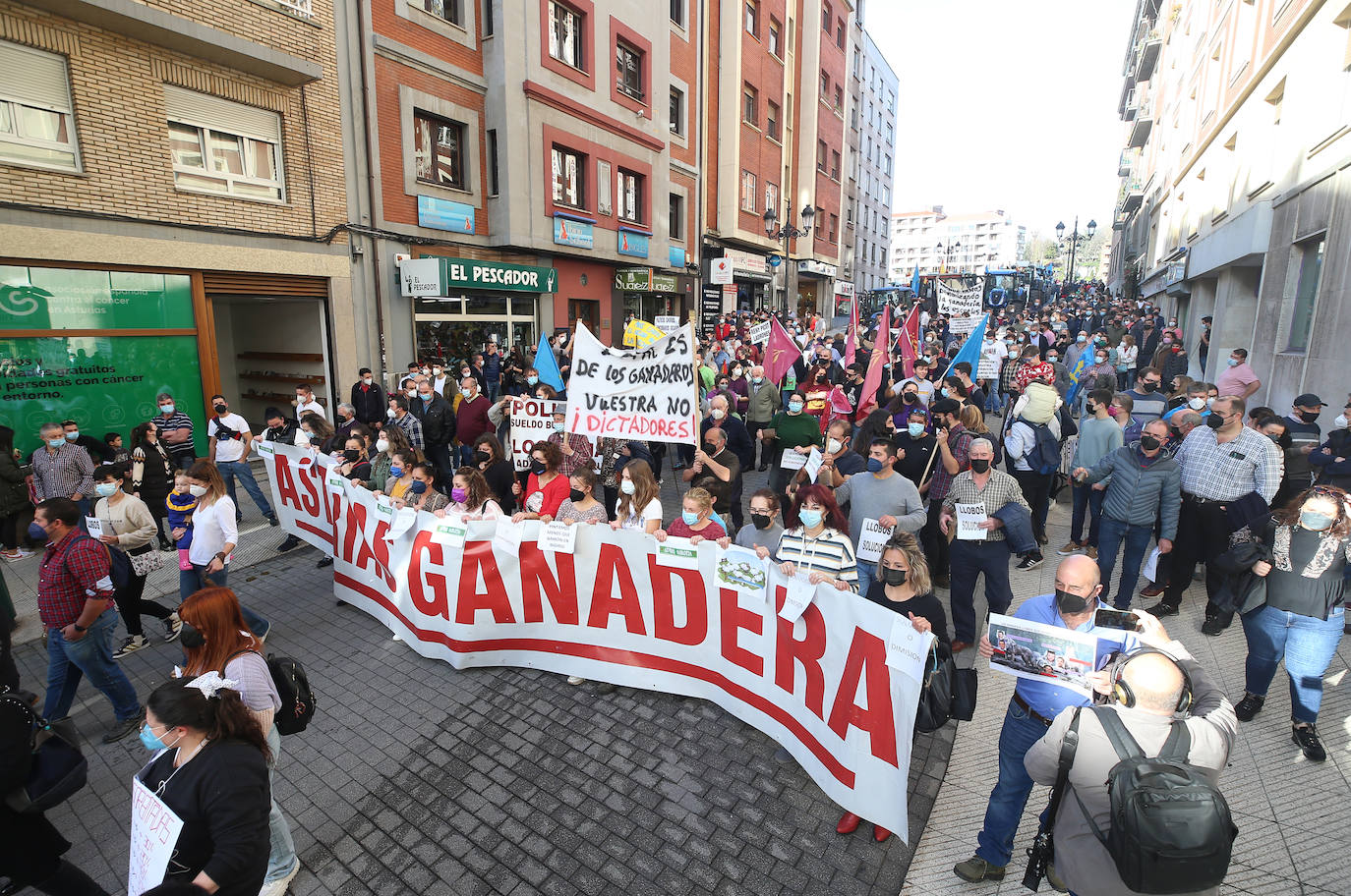 Una nueva tractorada volvió a paralizar el centro de la capital asturiana. Los ganaderos critican el «abandono» por parte de las administraciones públicas. Cientos de personas se concentraron ante la sede de Presidencia, donde se vivieron momentos de tensión. 