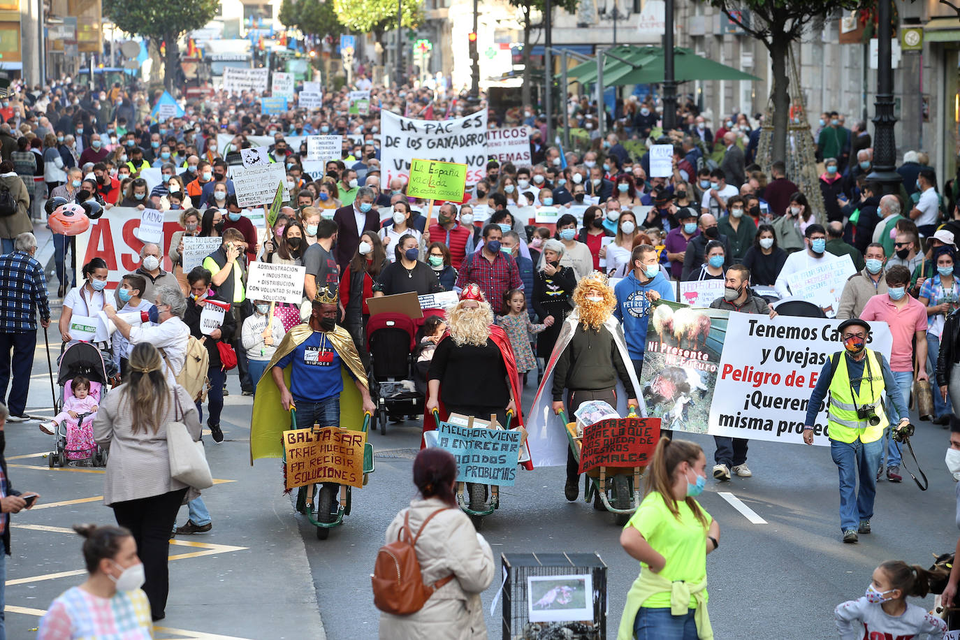 Una nueva tractorada volvió a paralizar el centro de la capital asturiana. Los ganaderos critican el «abandono» por parte de las administraciones públicas. Cientos de personas se concentraron ante la sede de Presidencia, donde se vivieron momentos de tensión. 