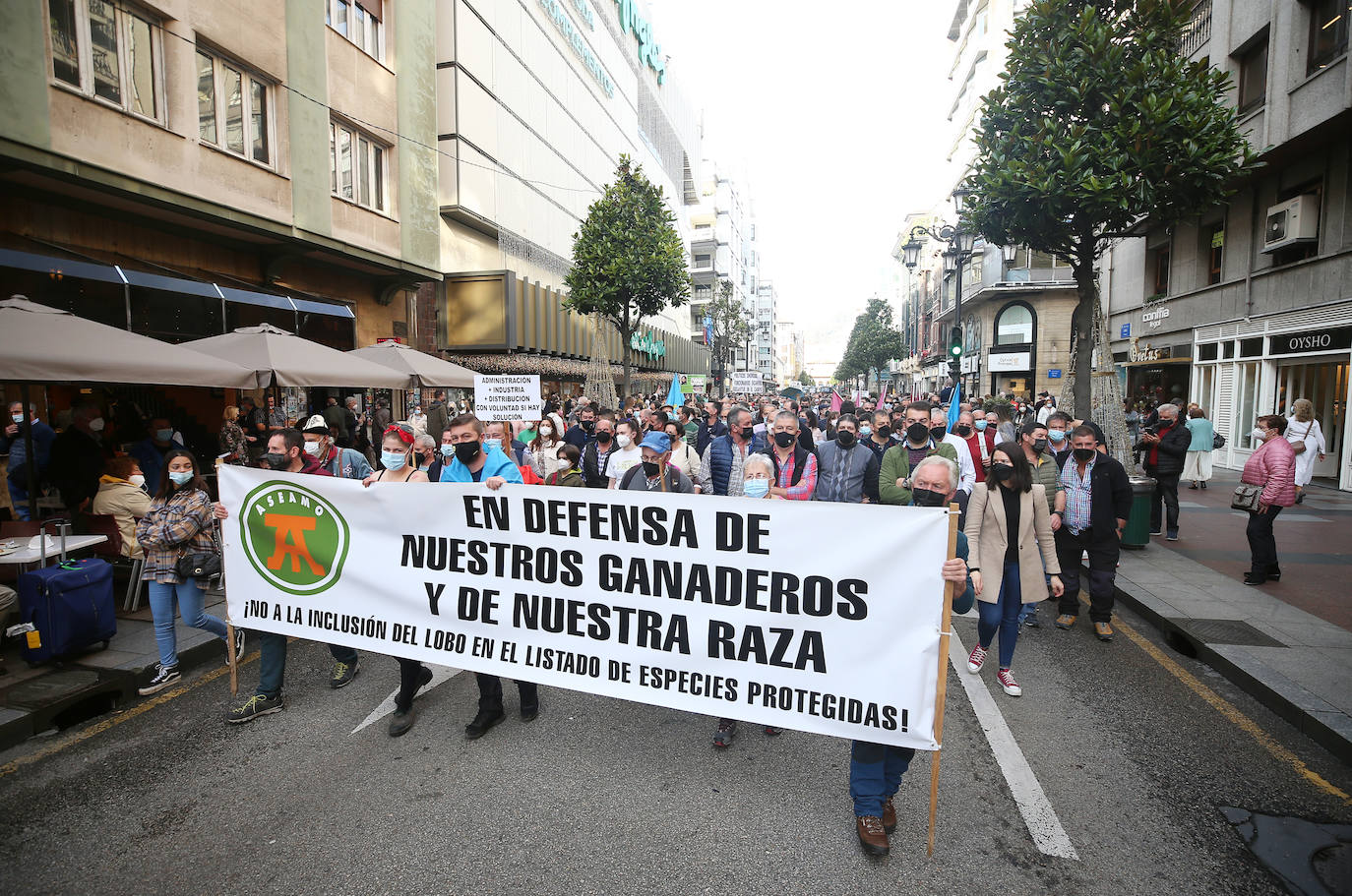 Una nueva tractorada volvió a paralizar el centro de la capital asturiana. Los ganaderos critican el «abandono» por parte de las administraciones públicas. Cientos de personas se concentraron ante la sede de Presidencia, donde se vivieron momentos de tensión. 