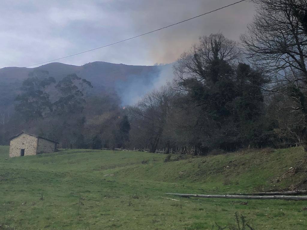 La región ha llegado a sumar un centenar de incendios forestales activos durante el fin de semana. Este lunes los bomberos continuan luchando contra más de cuarenta fuegos 