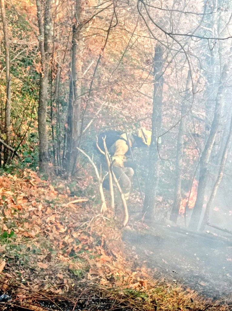 La región ha llegado a sumar un centenar de incendios forestales activos durante el fin de semana. Este lunes los bomberos continuan luchando contra más de cuarenta fuegos 