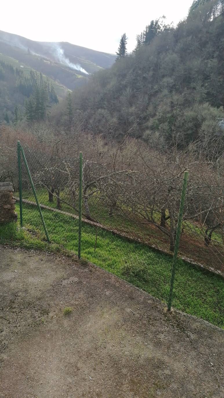 La región ha llegado a sumar un centenar de incendios forestales activos durante el fin de semana. Este lunes los bomberos continuan luchando contra más de cuarenta fuegos 