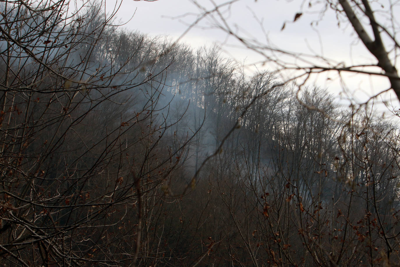 La región ha llegado a sumar un centenar de incendios forestales activos durante el fin de semana. Este lunes los bomberos continuan luchando contra más de cuarenta fuegos 