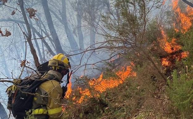 Un componente de la brigada forestal de Tineo, durante su intervención en el pueblo allerano de Orillés. 