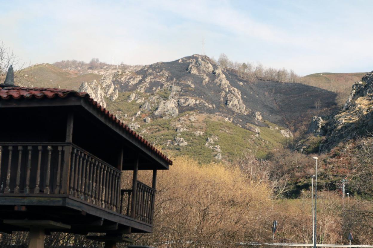 El monte de Comillera, en Sobrescobio, quemado tras uno de los incendios de los últimos días. 