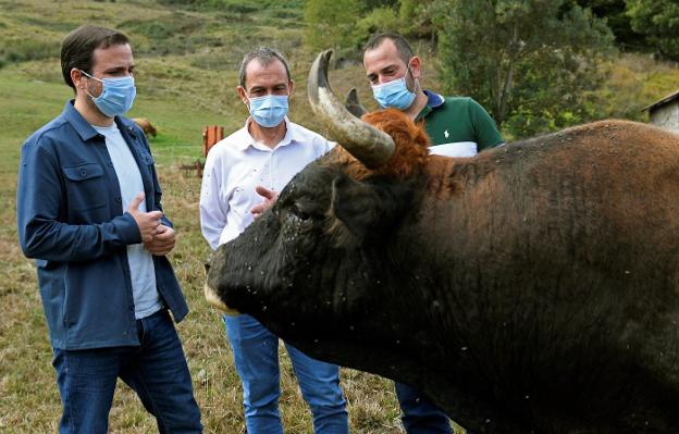 Los ganaderos claman contra Garzón por su crítica a la carne española