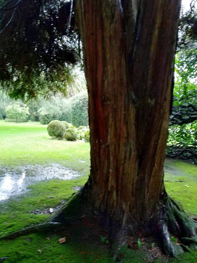 El jardín de la finca La Redonda se trata del principal jardín escultórico de Asturias lo que le imprime también ese salto cualitativo, con destacables obras de artistas como Maojo o Camín, el cual ya ha sido varias veces calificado por autoridades en la materia, como los geógrafos Ramón Alvargonzález y Rodrigo Álvarez Brecht, como el más rico y espectacular de la parroquia de Somió (Gijón), tanto por su dilatada historia, como por su diseño y su variedad botánica; a lo que hay que añadir la antigüedad de un centenar de ejemplares que superan o se aproximan al siglo de vida.