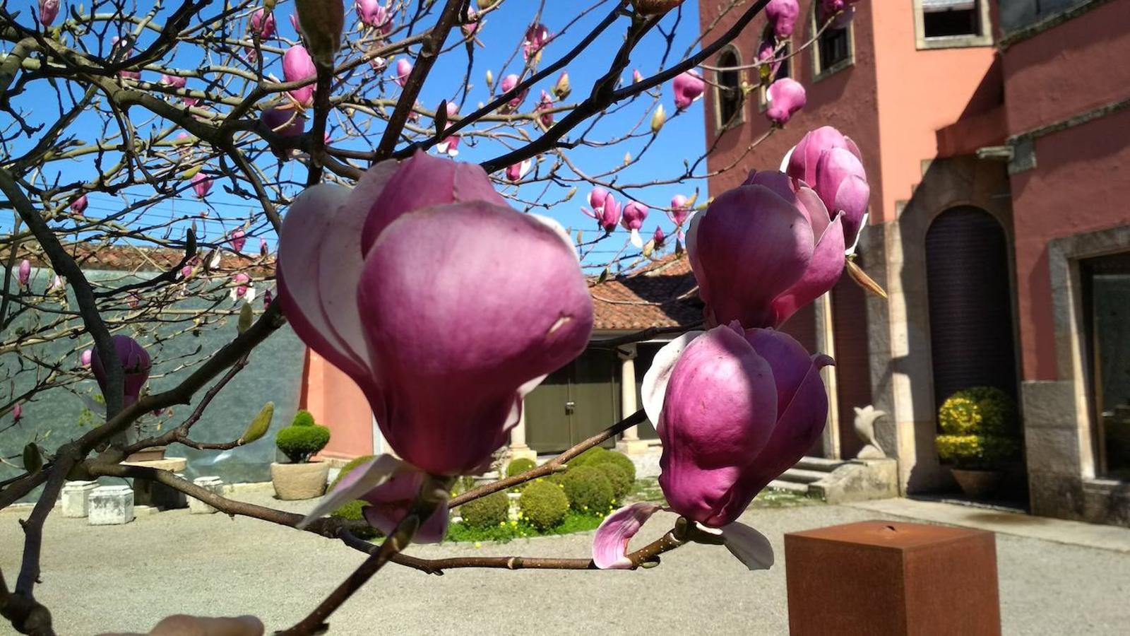 El jardín de la finca La Redonda se trata del principal jardín escultórico de Asturias lo que le imprime también ese salto cualitativo, con destacables obras de artistas como Maojo o Camín, el cual ya ha sido varias veces calificado por autoridades en la materia, como los geógrafos Ramón Alvargonzález y Rodrigo Álvarez Brecht, como el más rico y espectacular de la parroquia de Somió (Gijón), tanto por su dilatada historia, como por su diseño y su variedad botánica; a lo que hay que añadir la antigüedad de un centenar de ejemplares que superan o se aproximan al siglo de vida.