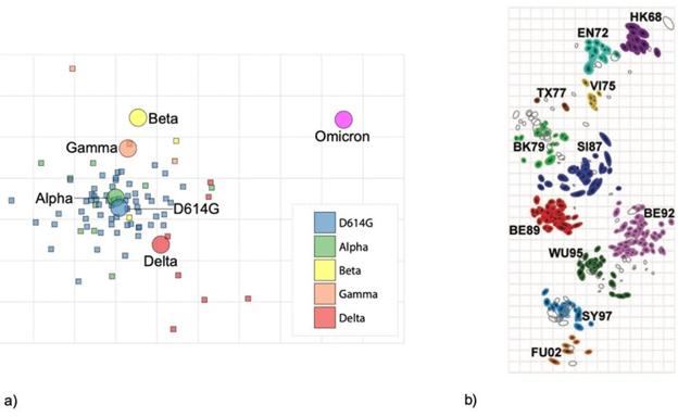 Figura 6- Variación antagónica de SARS-CoV-2 y el virus de la gripe. Adaptada por Nuria Campillo.