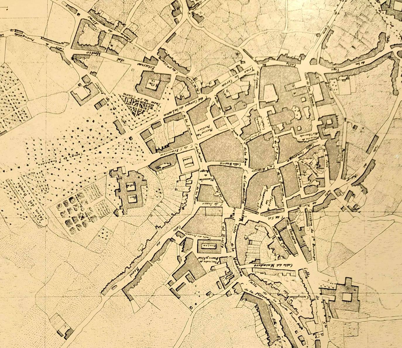 Plano de Oviedo de J. M. Fernández hacia 1853. Se puede ver el trazado del jardín botánico primigenio del monasterio, con un doble trazado laberíntico donde se dispusieron los invernaderos y por el este la sobredimensión de la huerta franciscana que sobrepasaba la actual calle Uría.