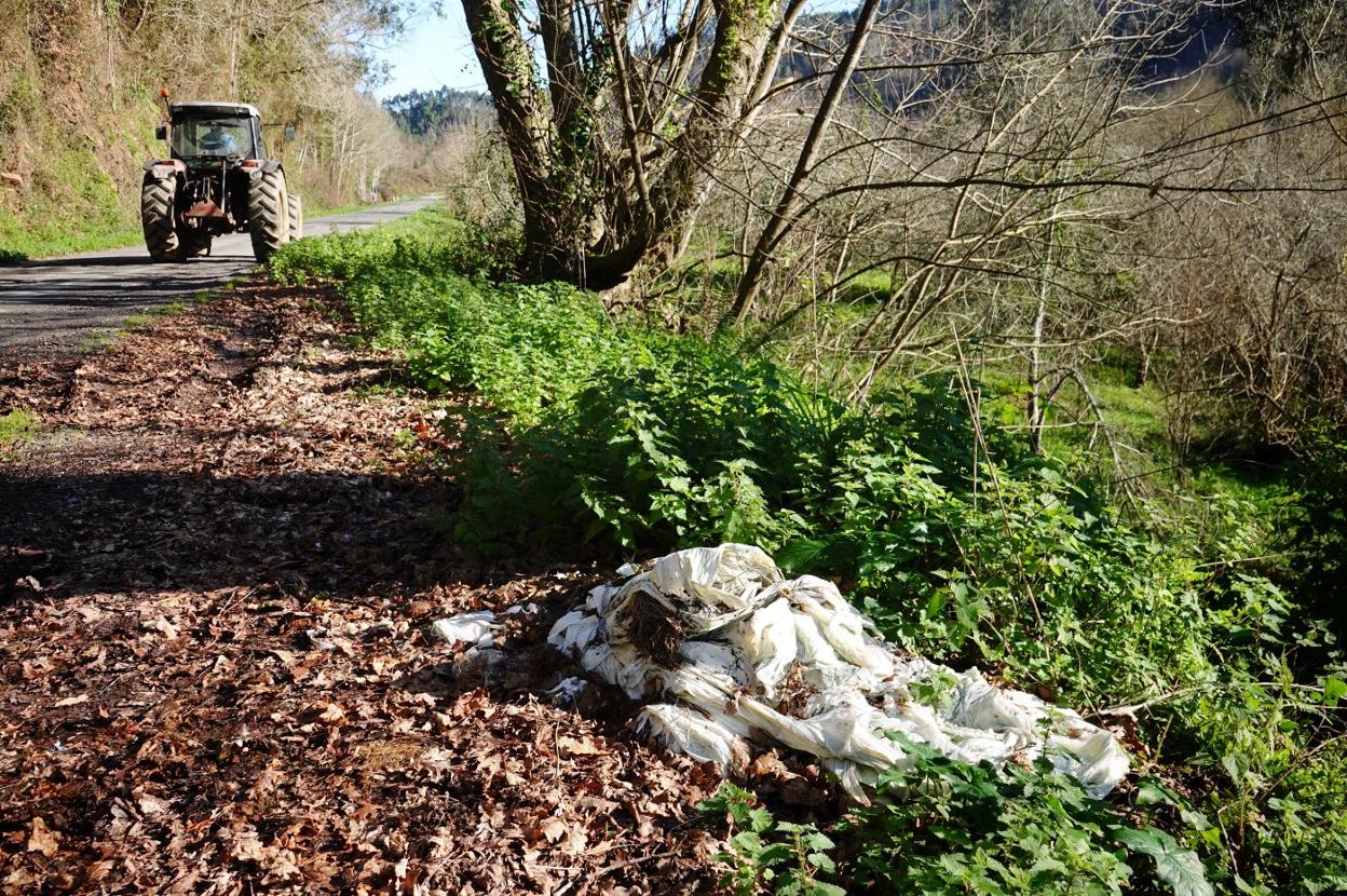 Plásticos acumulados en los márgenes de la carretera de Libardón, en Colunga. 