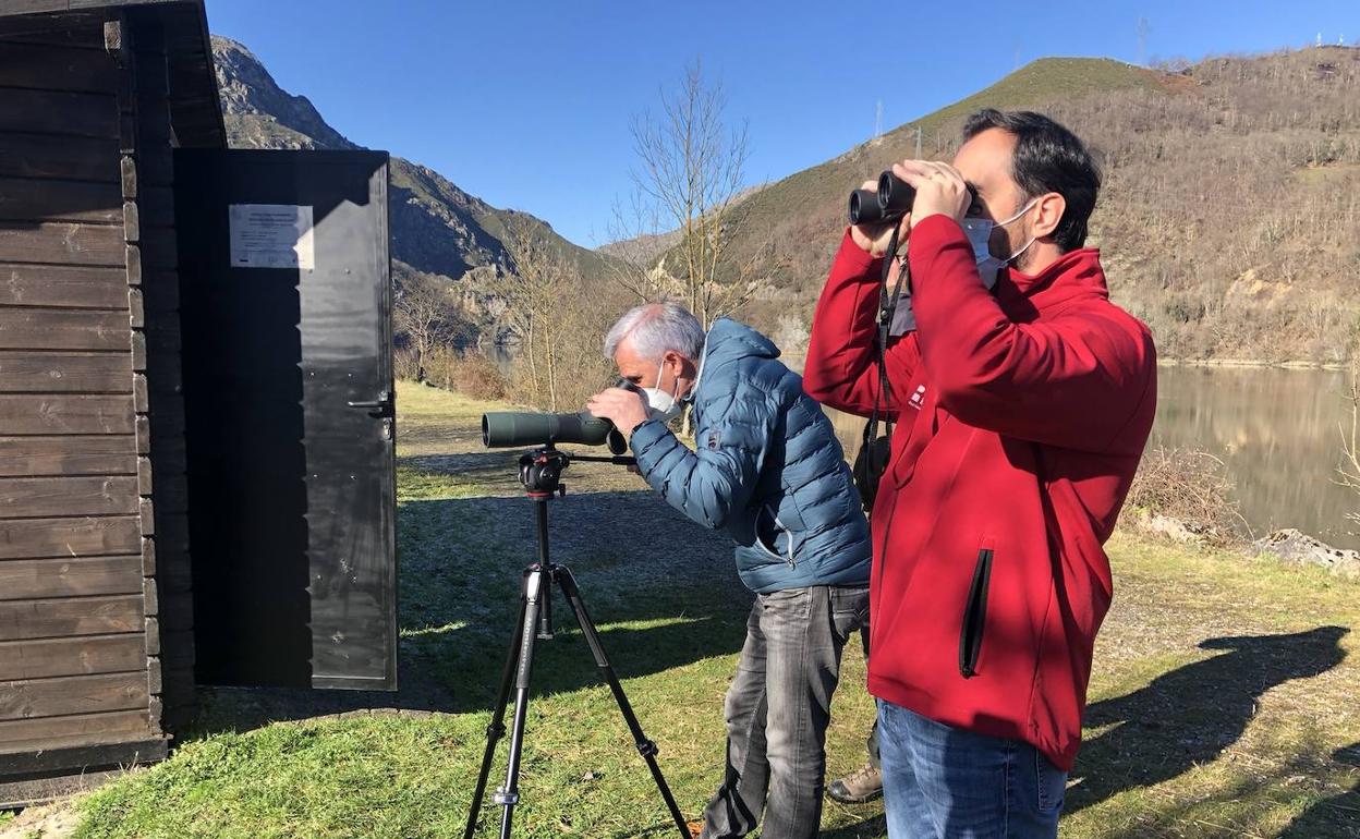 Observación de aves 