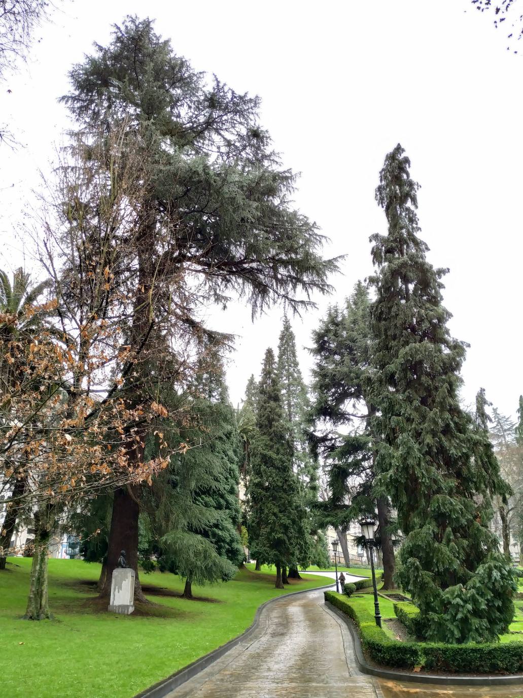 La huerta y el jardín botánico del Monasterio de San Francisco fueron el germen del parque público del que hoy presume la ciudad. 