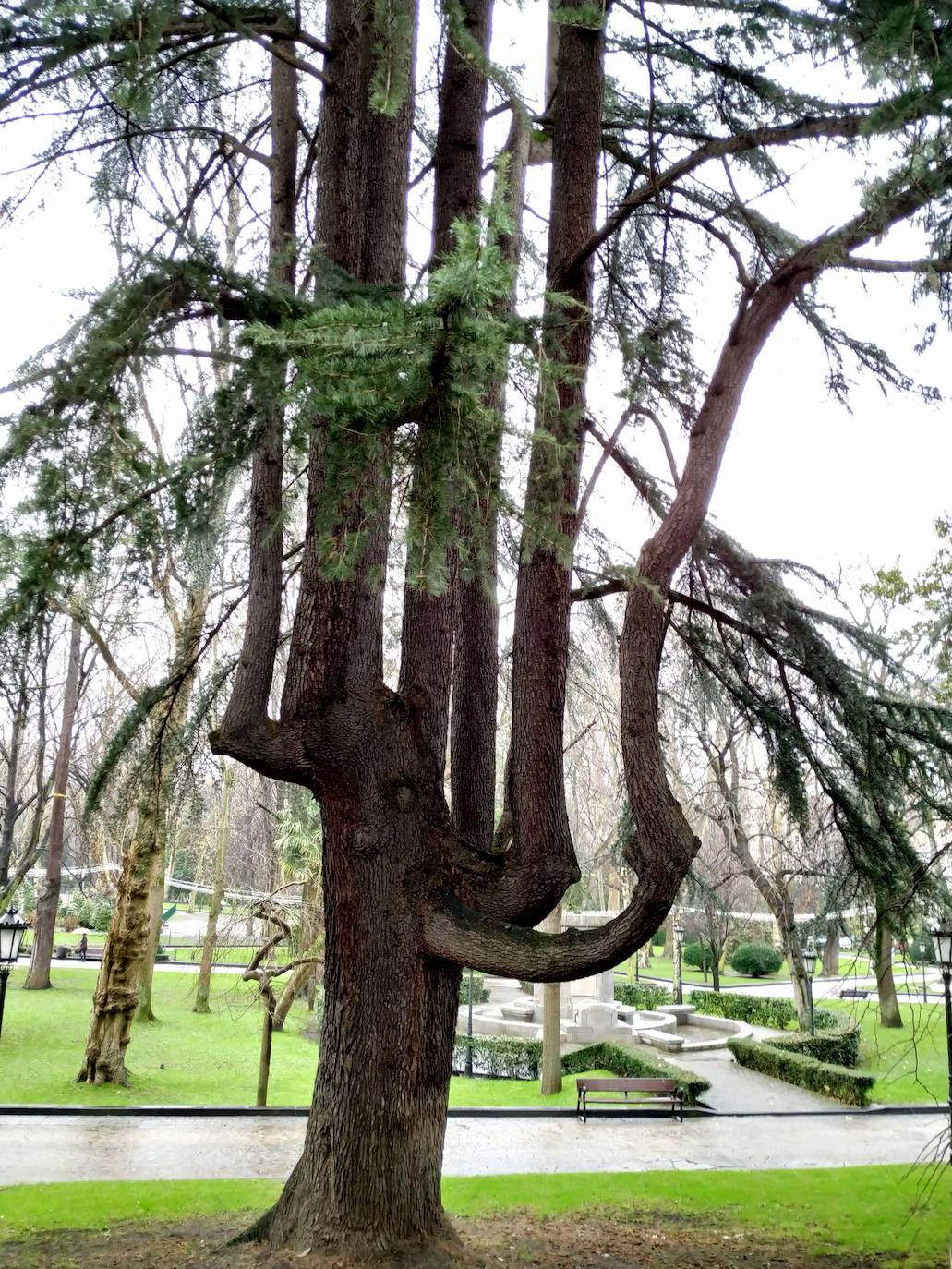 La huerta y el jardín botánico del Monasterio de San Francisco fueron el germen del parque público del que hoy presume la ciudad. 