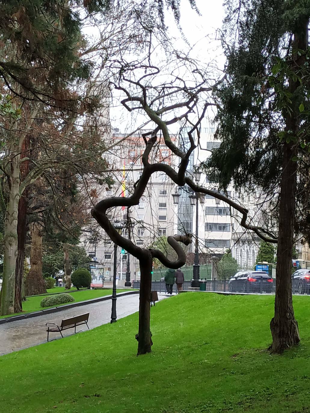 La huerta y el jardín botánico del Monasterio de San Francisco fueron el germen del parque público del que hoy presume la ciudad. 