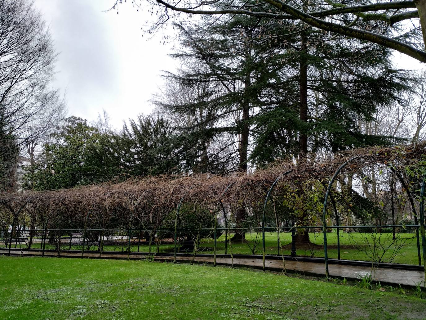 La huerta y el jardín botánico del Monasterio de San Francisco fueron el germen del parque público del que hoy presume la ciudad. 