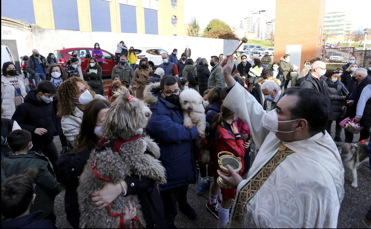 Andrés Fernández bendice a los animales. 