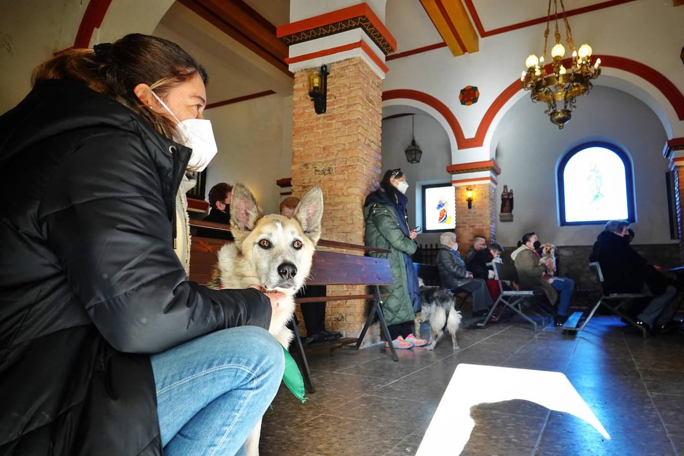 La parroquia de Parres acogió este lunes a sus mascotas para bendecirles con salud y suerte. Se llegaron a ver hasta gallinas y ovejas, entre multitud de perros, en su mayoría, y gatos.