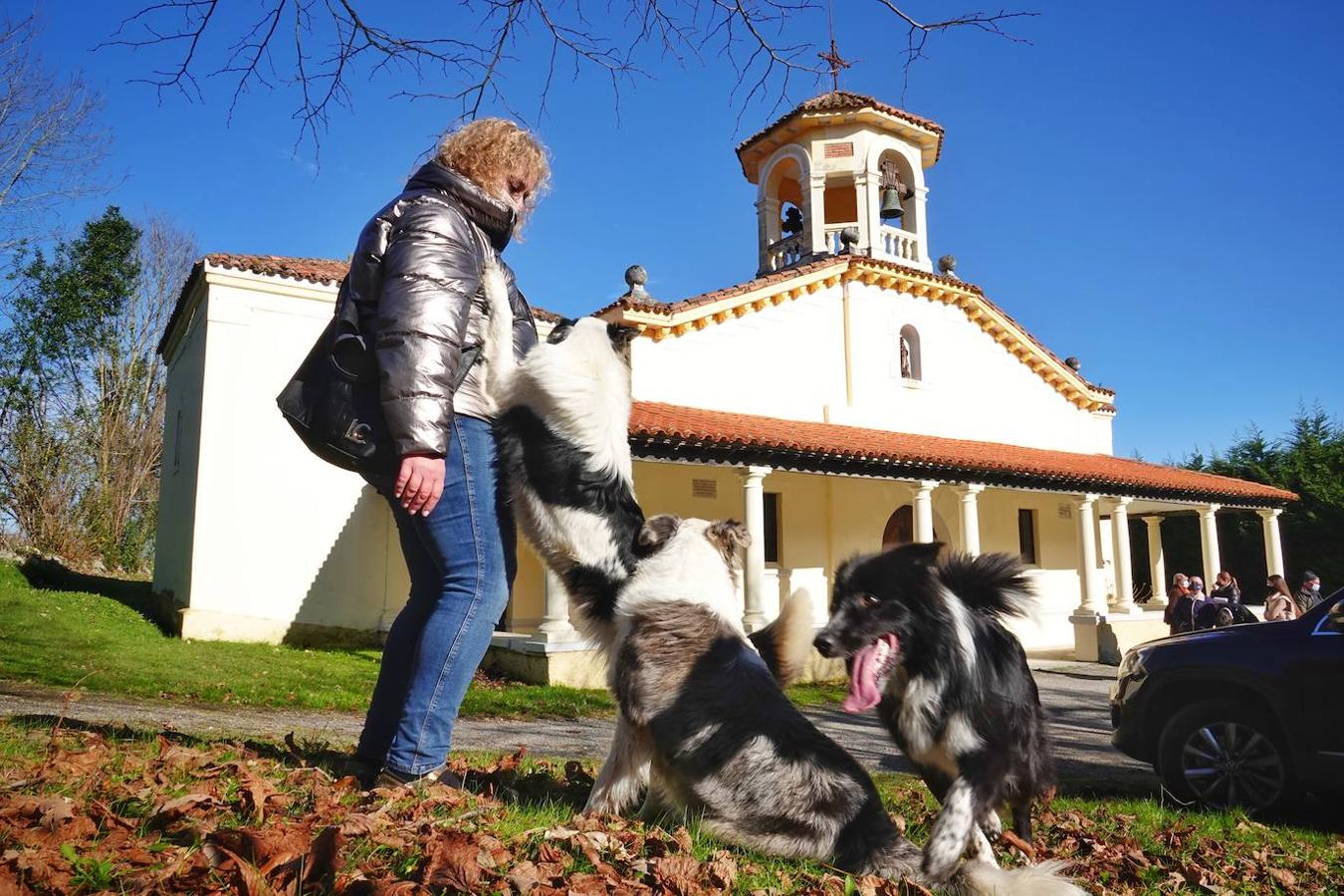La parroquia de Parres acogió este lunes a sus mascotas para bendecirles con salud y suerte. Se llegaron a ver hasta gallinas y ovejas, entre multitud de perros, en su mayoría, y gatos.