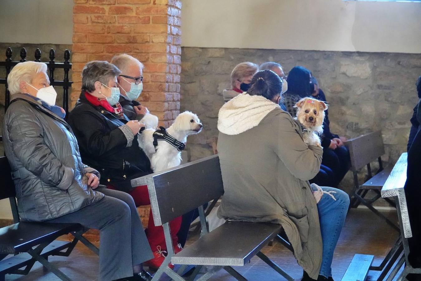 La parroquia de Parres acogió este lunes a sus mascotas para bendecirles con salud y suerte. Se llegaron a ver hasta gallinas y ovejas, entre multitud de perros, en su mayoría, y gatos.