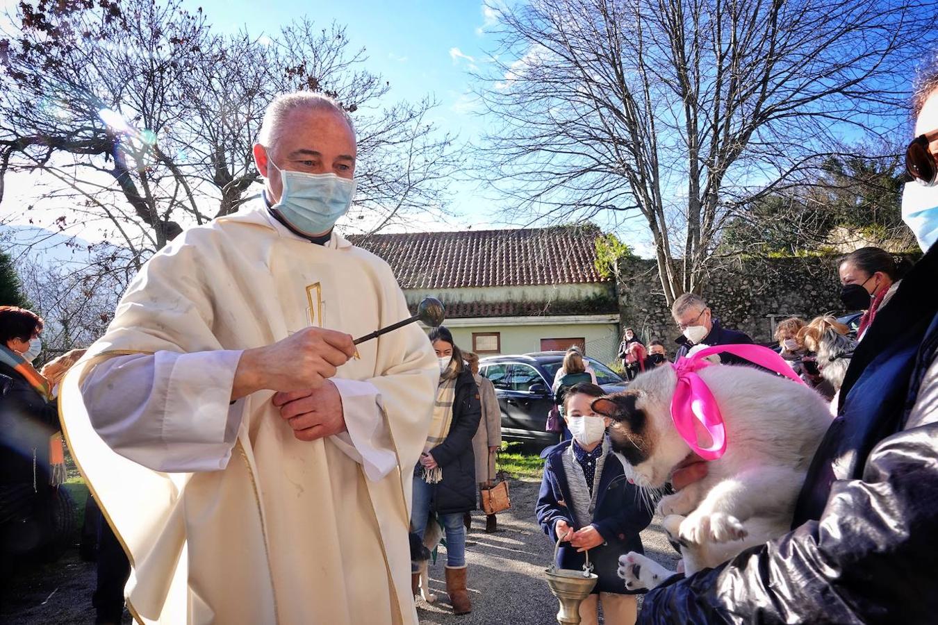 La parroquia de Parres acogió este lunes a sus mascotas para bendecirles con salud y suerte. Se llegaron a ver hasta gallinas y ovejas, entre multitud de perros, en su mayoría, y gatos.
