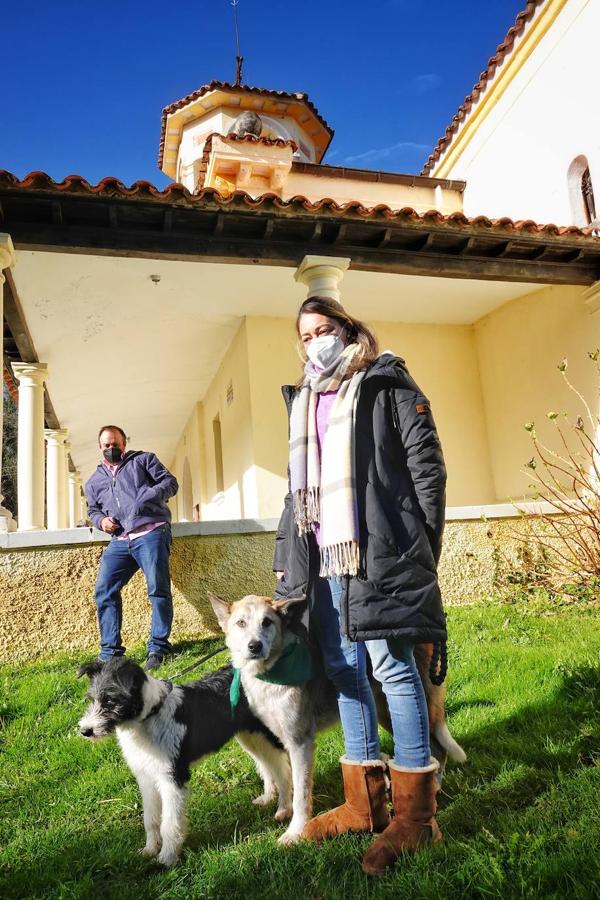 La parroquia de Parres acogió este lunes a sus mascotas para bendecirles con salud y suerte. Se llegaron a ver hasta gallinas y ovejas, entre multitud de perros, en su mayoría, y gatos.