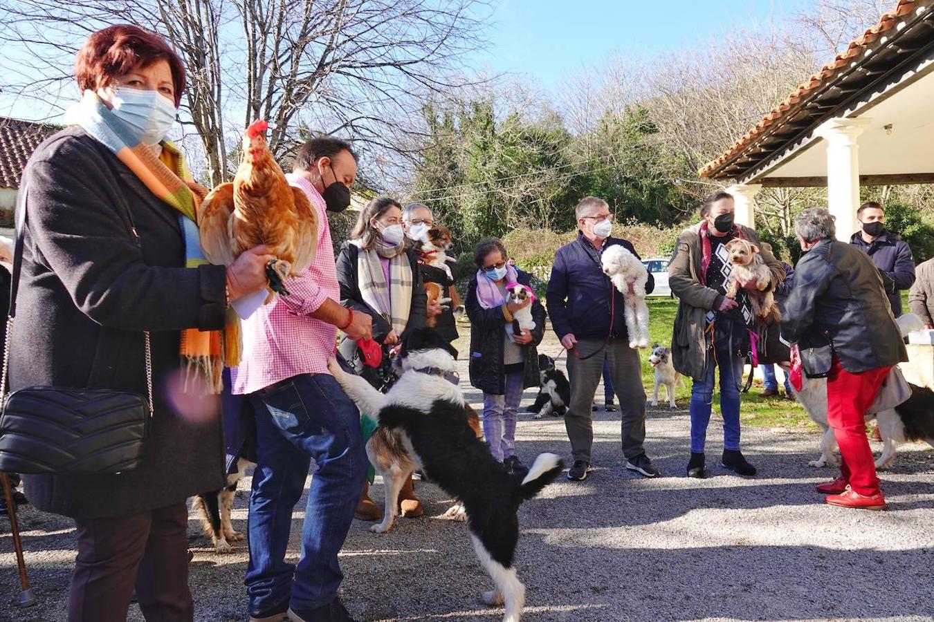La parroquia de Parres acogió este lunes a sus mascotas para bendecirles con salud y suerte. Se llegaron a ver hasta gallinas y ovejas, entre multitud de perros, en su mayoría, y gatos.