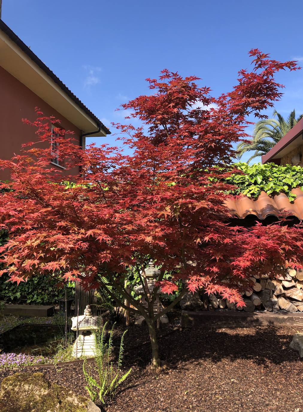 El jardín escultórico japonés de Mario Argüelles se encuentra situado en la histórica finca de los marqueses de Pidal (Somió), convertida ahora en su mayor parte en la urbanización El Pisón.