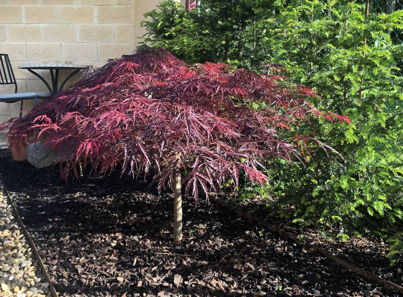 El jardín escultórico japonés de Mario Argüelles se encuentra situado en la histórica finca de los marqueses de Pidal (Somió), convertida ahora en su mayor parte en la urbanización El Pisón.