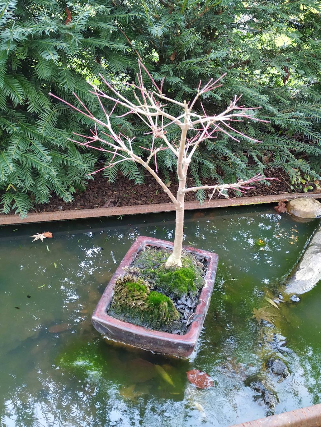 El jardín escultórico japonés de Mario Argüelles se encuentra situado en la histórica finca de los marqueses de Pidal (Somió), convertida ahora en su mayor parte en la urbanización El Pisón.