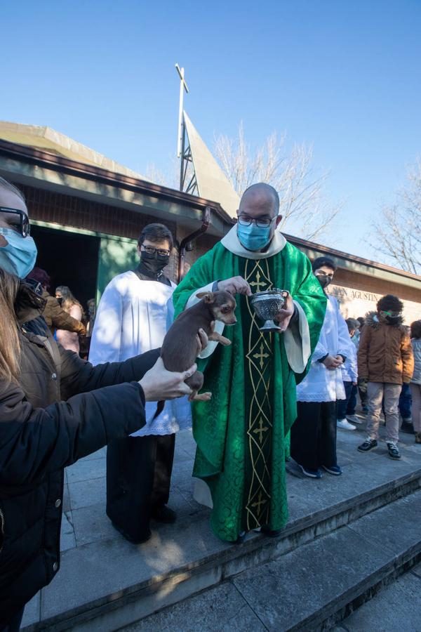 Fotos: Bendición de mascotas en Avilés