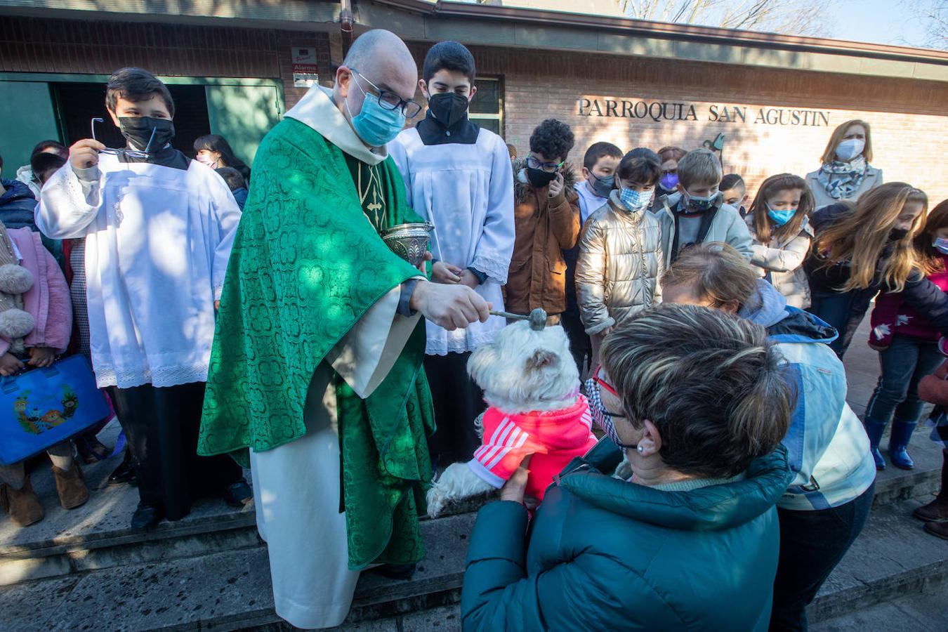 Fotos: Bendición de mascotas en Avilés