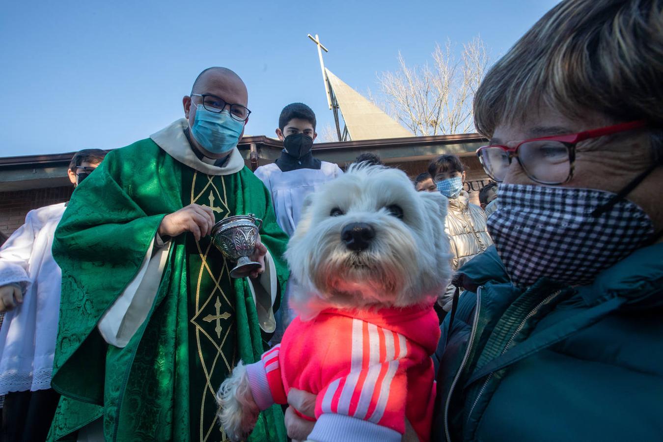 Fotos: Bendición de mascotas en Avilés