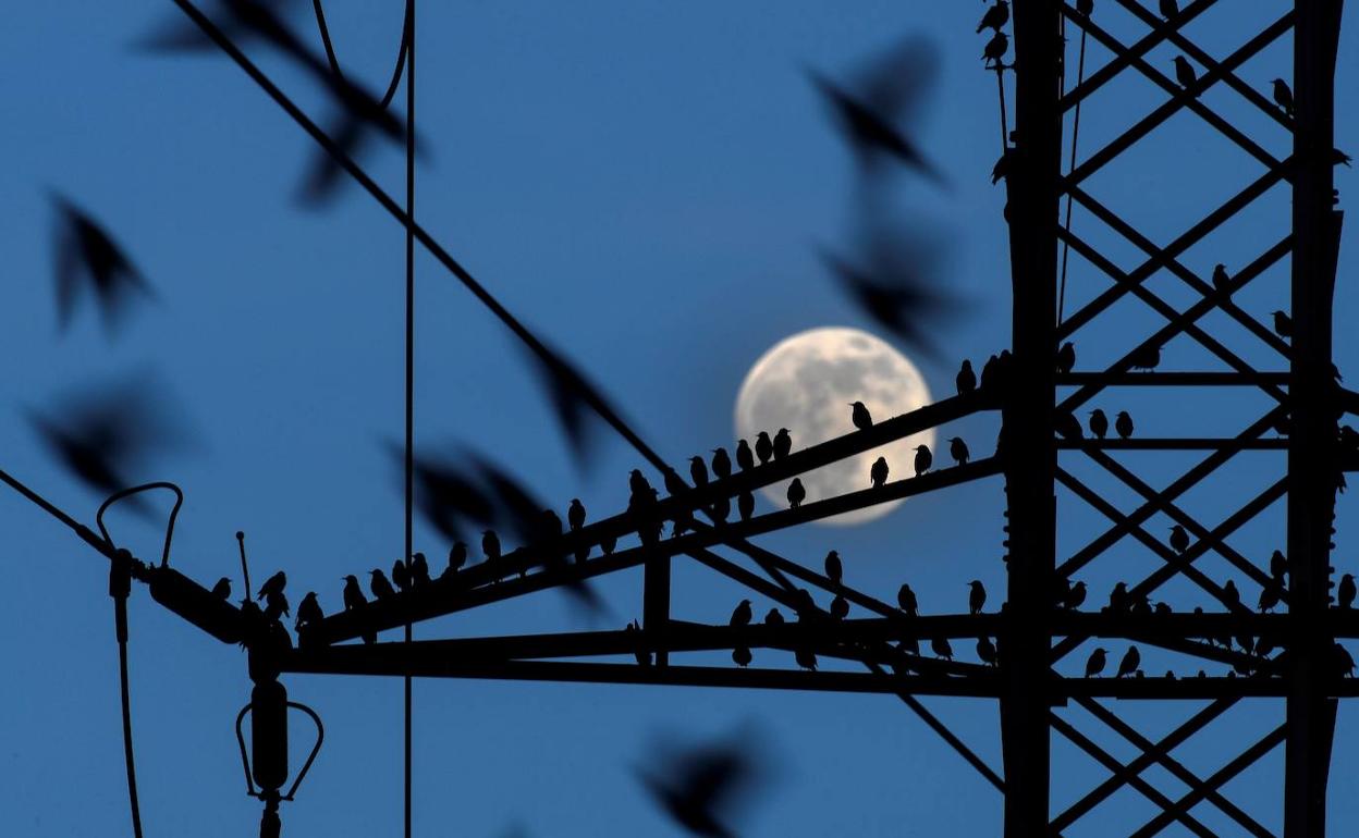 Vuelve a subir el precio de la luz: estas son las horas más caras del domingo