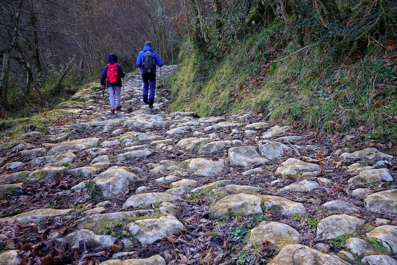 Entre el puerto del Pontón y el municipio de Amieva, atravesando el Parque Nacional de los Picos de Europa, existe un trazado de piedra serpenteante digno de conocer y andar: la senda del Arcedianu 