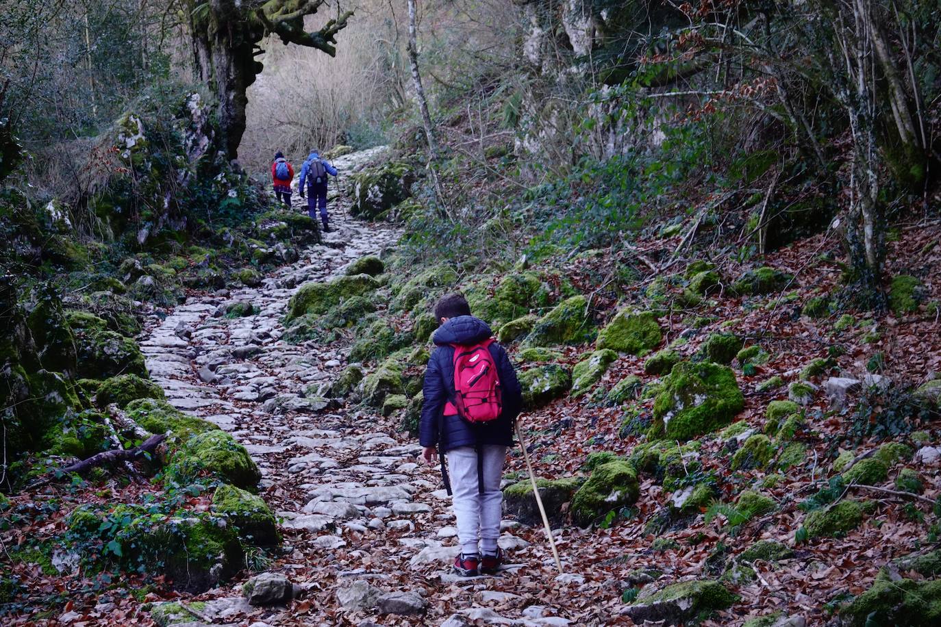 Entre el puerto del Pontón y el municipio de Amieva, atravesando el Parque Nacional de los Picos de Europa, existe un trazado de piedra serpenteante digno de conocer y andar: la senda del Arcedianu 