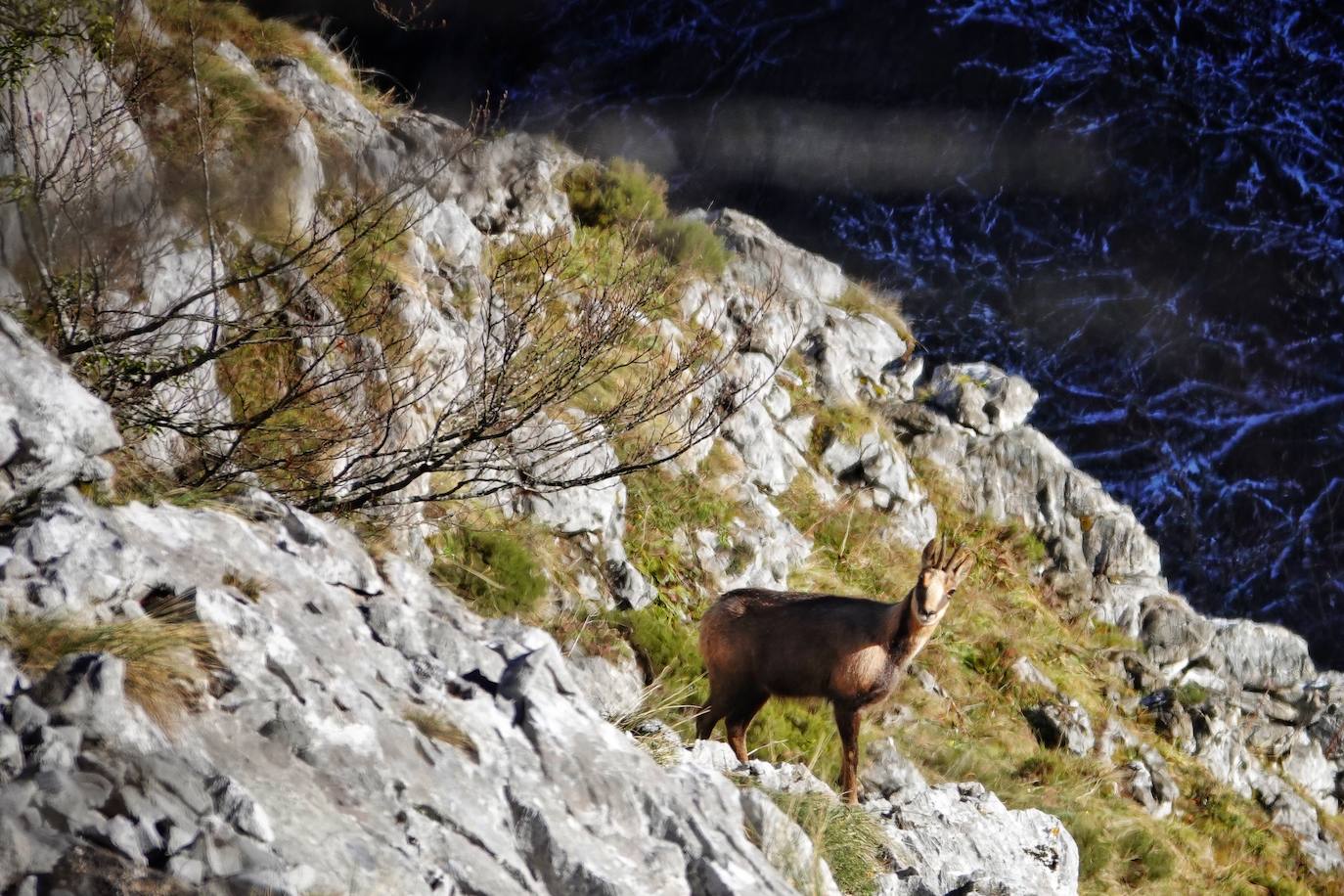 Entre el puerto del Pontón y el municipio de Amieva, atravesando el Parque Nacional de los Picos de Europa, existe un trazado de piedra serpenteante digno de conocer y andar: la senda del Arcedianu 