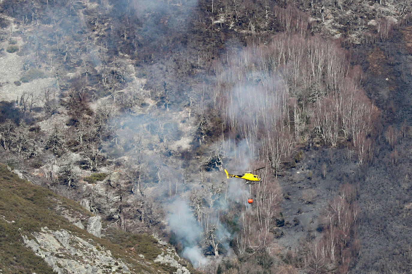 La rápida actuación de los servicios de emergencias impidió que el incendio entrase en la reserva natural de Muniellos, situada en la vertiente inmediatamente aledaña a la zona donde se estaba produciendo el fuego, que tiene todos las indicios de haber sido provocado, como comentaron algunos vecinos de la zona.